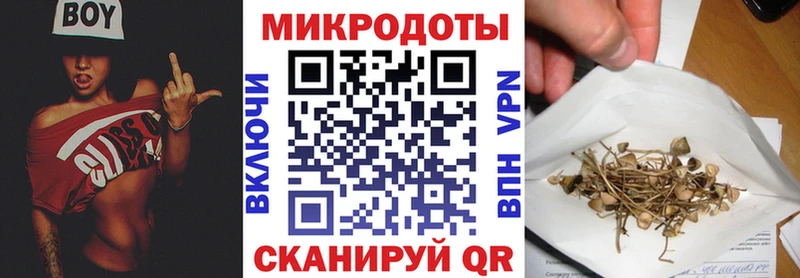 что такое наркотик  Суворов  Псилоцибиновые грибы мухоморы 